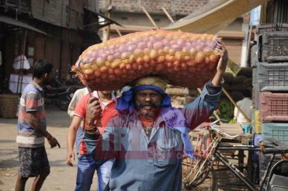 Rain affects Tripura farmers : rotting of potato crops hits the â€˜hopeâ€™ 